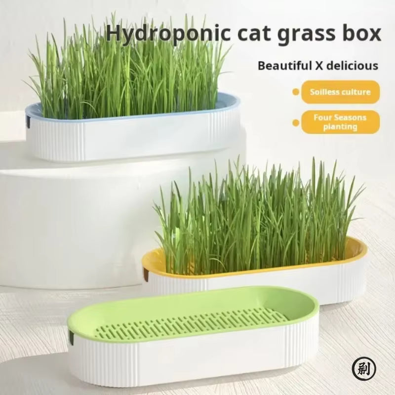 Indoor Hydroponic Cat Grass Kit - Grow Fresh Catnip & Treats with Ease!